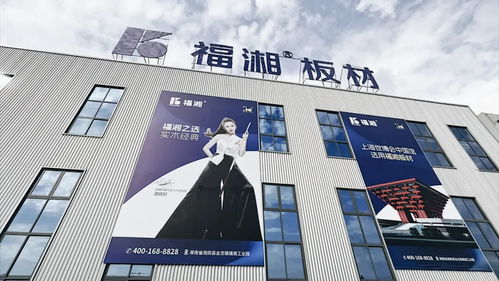 創(chuàng)新齊聚力 同心向未來丨福湘北方臨沂客戶服務中心成立暨新產(chǎn)品發(fā)布會圓滿成功